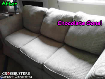 Upholstery Cleaning Dupont WA - After