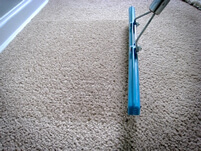 Groomed Carpet