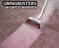 Prochem Carpet Wand